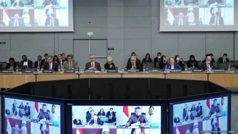 International Energy Agency ministers around a table are joined by those on video links