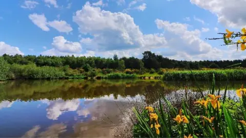 Steve Plew Notts Papplewick Nottinghamshire