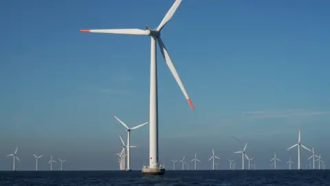 Reuters View of the turbines at Orsted's offshore wind farm