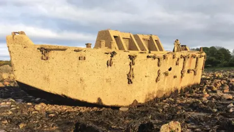 Elinor Graham beetle pontoon at Porterrock credit Elinor Graham,Research Assistant, The SCAPE Trust, University of St Andrews.jpg