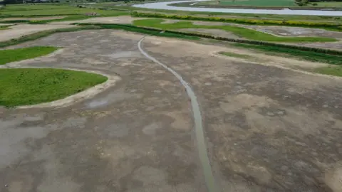 John Fairhall/BBC An aerial view of RSPB Boyton and Hollesley Marshes. The marshes are lacking any water with just a few sparse puddles dotted about.