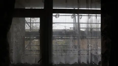 LDRS Image of scaffolding outsie window 