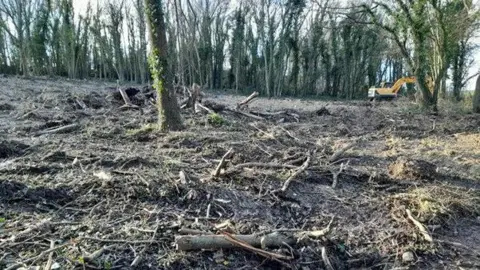 Lots of felled trees and wood lying in a woodland, with a yellow digger in the distance, presumably felling other trees or picking up other wood.