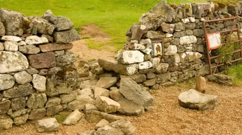 Historic Assynt Large stones lie on the ground after being removed from a drystone dyke.