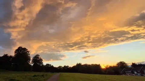 weatherwatchers/Dotty A luminous sunset with the orange light of the descending sun reflected off a bank of white clouds with full shade on the foreground parkland.