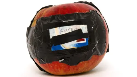 Derek Man Apple pinhole camera