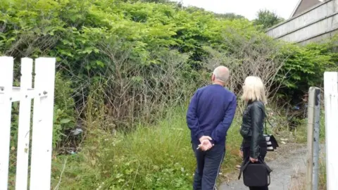 BBC Knotweed encroaching on the property