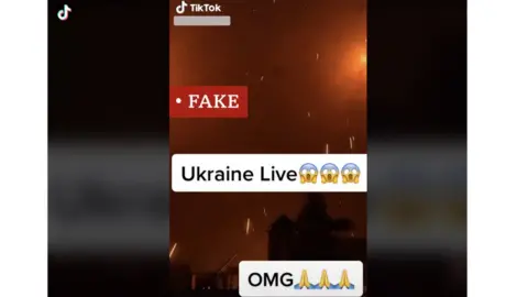 TikTok Screenshot from TikTok: The clip was created using CGI and has been circulating online for months