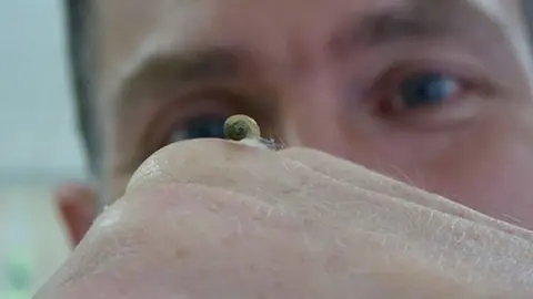 Stephanie Heyworth/University of Nottingham Jeremy's baby