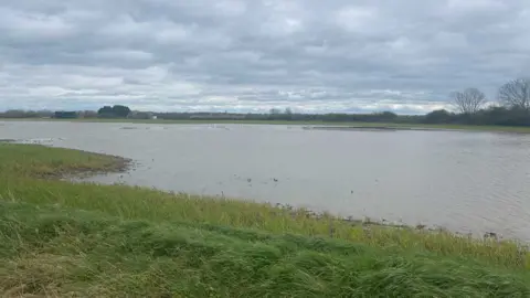 Wet weather plays havoc with Cambridgeshire farmers