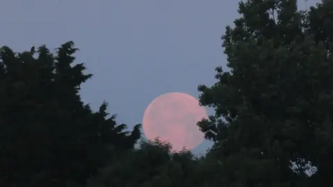 BBC/Weather Watchers Wymondham supermoon