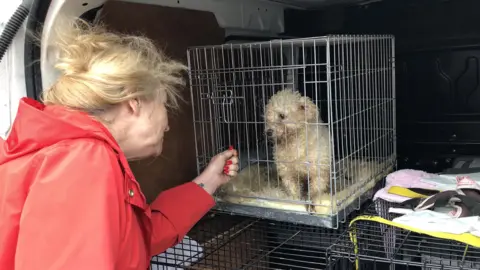 Photo of Eileen Jones with a rescued Bichon Frise