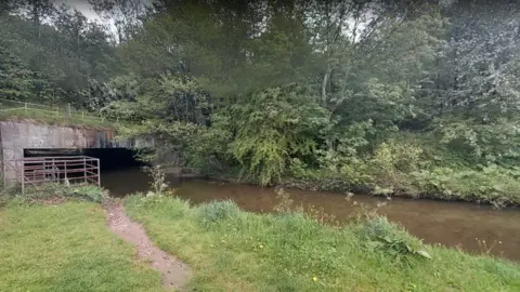 Google River Clywedog near Wrexham