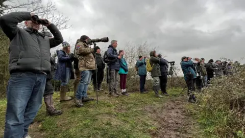 Stuart Woodward/BBC A group of birdwatchers standing on a hill looking through binoculars or cameras