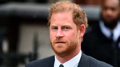 EPA The Duke of Sussex