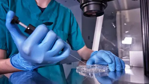 Getty Images IVF treatment