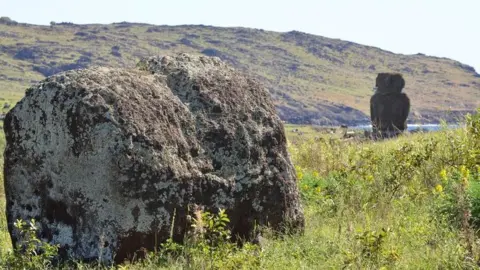 Terry Hunt A stranded pukao hat near a coastal Moai