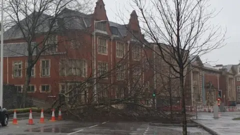 South Wales Police Tree blown over in Alexandra Road, Swansea