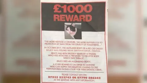 The Sentinel Cat reward advert