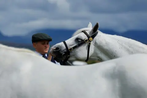 Clodagh Kilcoyne / Reuters A handler holds Doonreaghan Milly