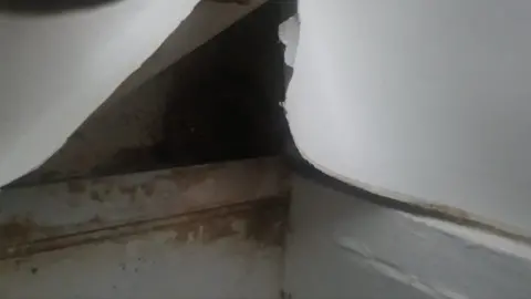 Nadine Richards Mould behind peeling wallpaper