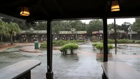Getty Images The entrance to the Animal Kingdom theme park at Walt Disney World