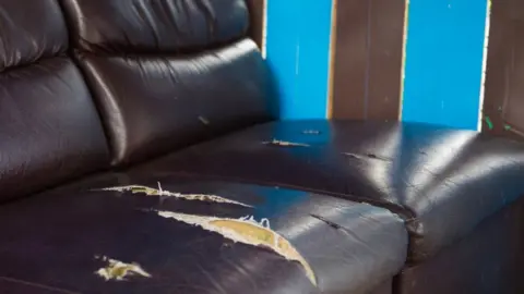 ECDC Ripped sofa