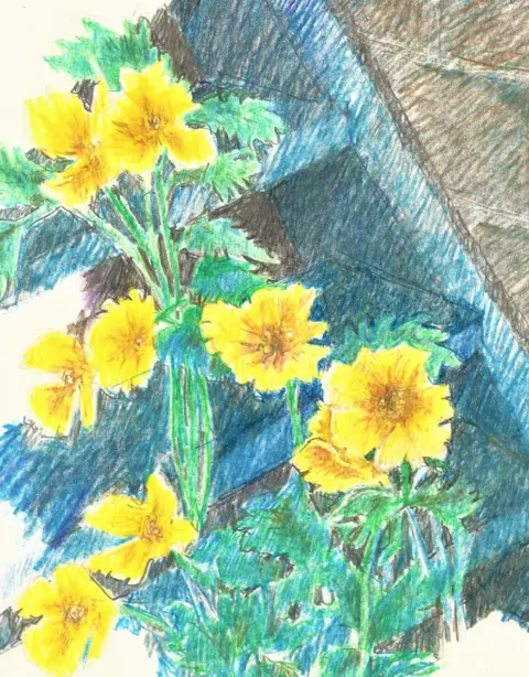 Prof Alan Dunlop Prof Dunlop sketch