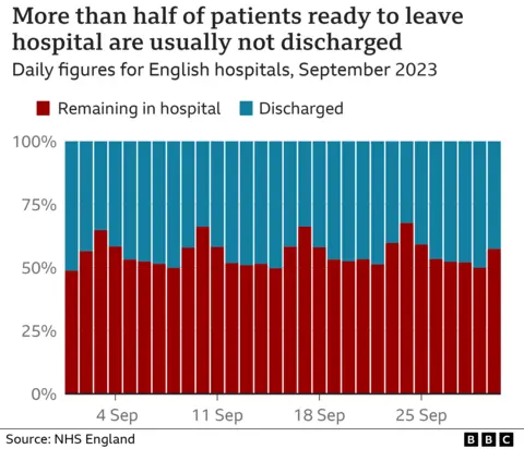 Chart showing delayed discharges