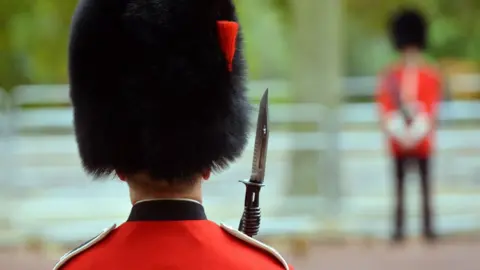 Queen's guard wearing bearskin hat