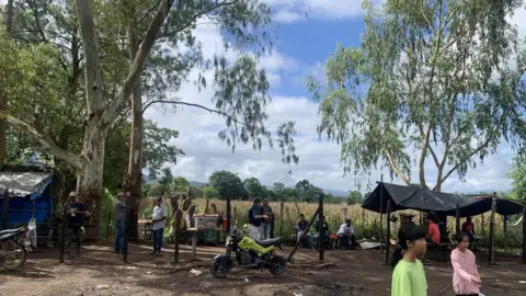  Sun Jincai The Sun family in the rainforest