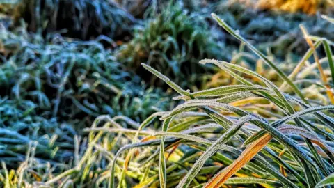 Liam Ball Frosty blades grass in Shropshire