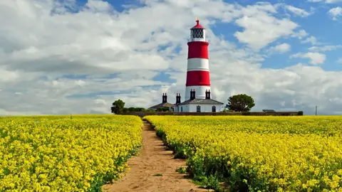 Getty Images Norfolk Day - windmill and rapeseed field