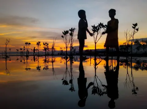 Mark Kevin Badayos A silhouette of two children standing amongst mangrove saplings as the sun sets in the Philippines