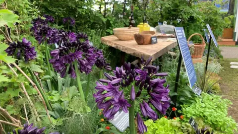 Flowers in the Sparsholt College garden at Chelsea Flower Show