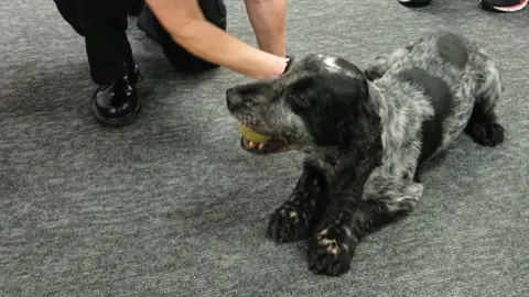 Derbyshire Police Billie the dog