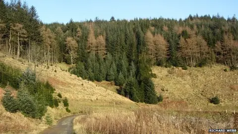 Richard Webb Glentress