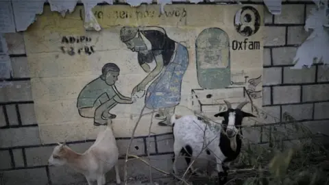 Reuters Goats in front of an Oxfam sign in Haiti