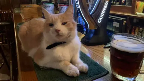 Alan Goodwin Wilbur having a pint