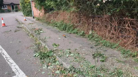 Joseph Beer Pavement