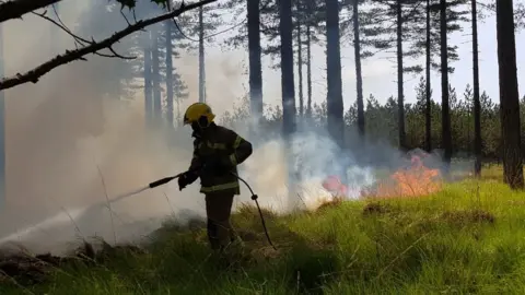 DWFRS Fire fighter at Wareham Forest