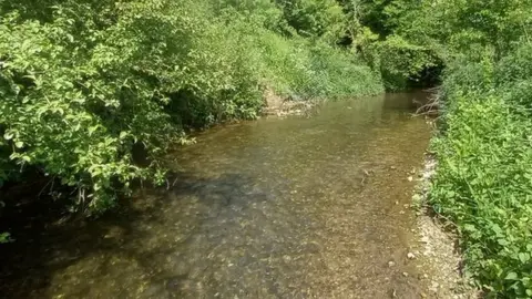 River Ash