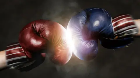 Gutzemberg red and blue boxing gloves