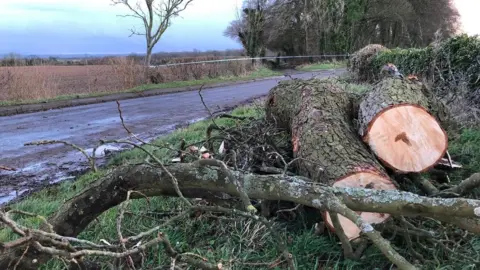 BBC Fallen tree moved to side of road