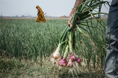 Getty Images Jharkhand tribal land