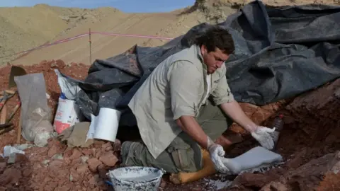 Reuters Image shows palaeontologist at a dig