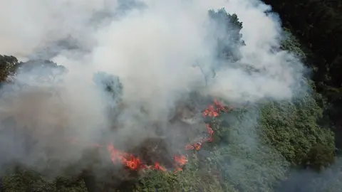 Peter Eleftheriou Wildfire in Lickey Hills (one of the oldest country parks) near Birmingham, July 18, 2022