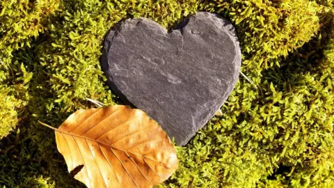 Getty Images Heart shaped slate on moss