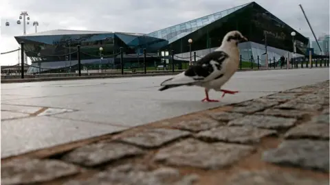 Getty Images pigeon outside new city hall