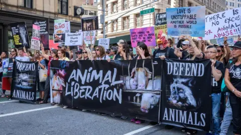 Getty Images An Animal Liberation demonstration against the fur trade in New York, August 2019.